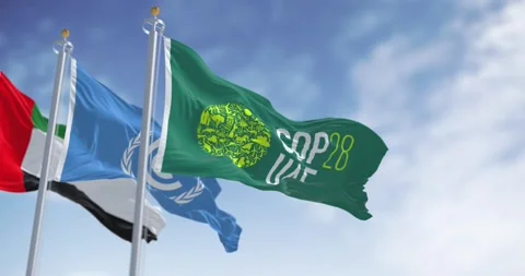 Flags of COP28, UNFCCC and UAE waving on a clear day. Stock Footage 257009296