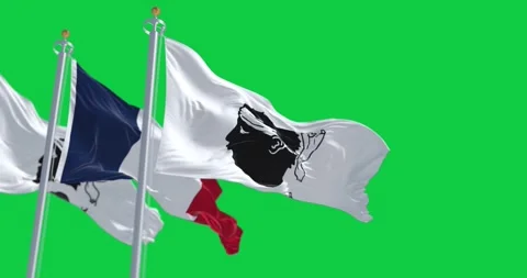 Flags of Corsica waving in the wind isolated on green background Stock Footage 310499627