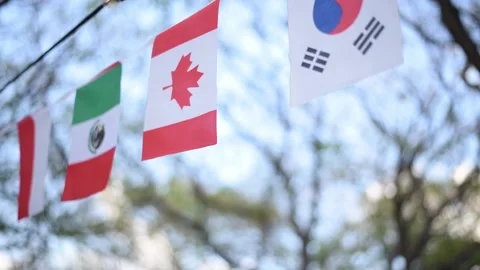 Flags of countries different colors and with symbols fluttering in wind in park. Stock-Footage 221973675