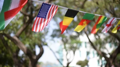 Flags of countries different colors and with original symbols fluttering in wind Stock Footage 221973700