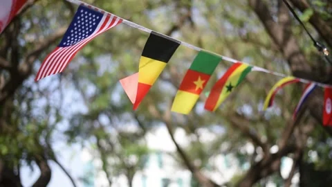 Flags of countries different colors and with symbols fluttering in wind. Stock Footage 221973759