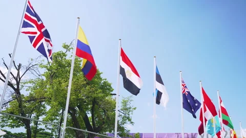 Flags of countries fly at Tokyo Olympic and Paralympic Games. Stock Footage 159112574