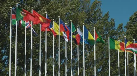 Flags of countries Stock Footage 8969944