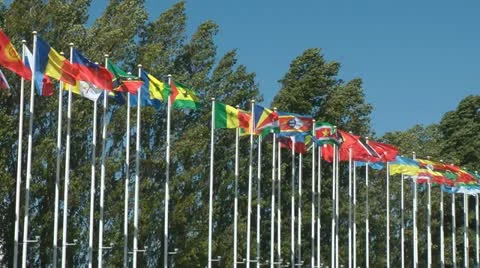 Flags of countries Stock Footage 11218030