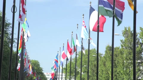 Flags of countries, The Hague, The Netherlands, tilt Stock Footage
