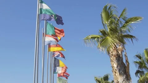 Flags of countries near the palm trees in the resort Видео 81501855