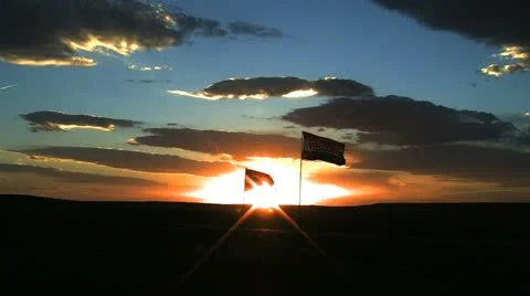 Flags in the desert, USA Stock Footage 11357536