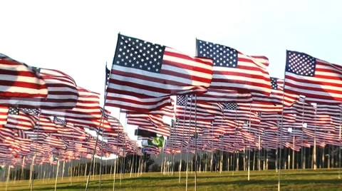 Flags detail pan around Stock-Footage 8690956