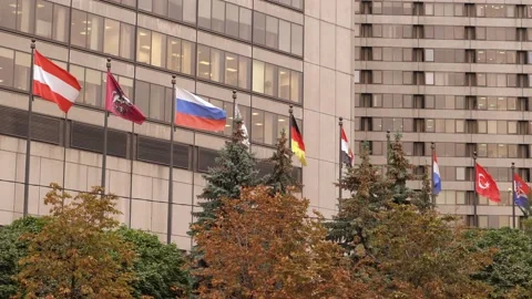 Flags different countries fluttering on background business building next trees Stock Footage 140051633