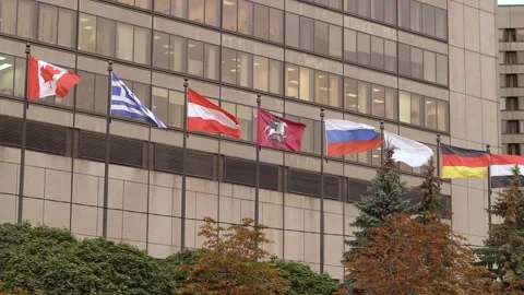 Flags different countries fluttering on background business building next trees Stock Footage 140051638