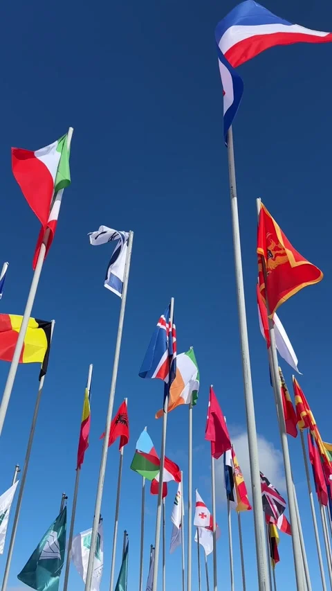 Flags of different countries fluttering in the wind Stock Footage 303504623