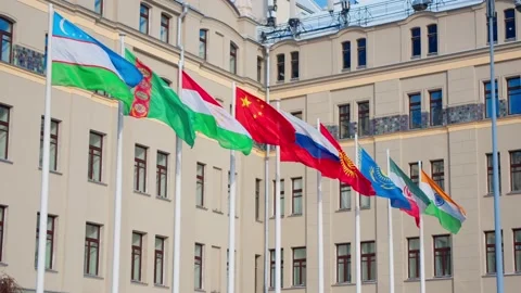 Flags of different countries Stock Footage 239969446