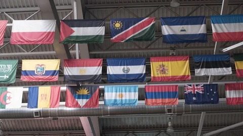 Flags of different countries on the racetrack Stock Footage 128171563