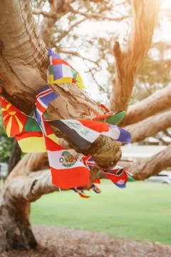 Flags of different countries in the tree. Multicultural network, inclusivity Stock Photos