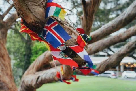 Flags of different countries in the tree. Multicultural network, inclusivity Stock Photos