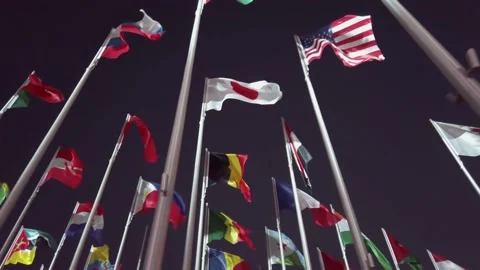 Flags of the different countries wave in slow motion against dark night sky Video stock 221254578