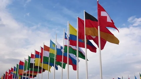 Flags of different countries waving Stock Footage 81116562