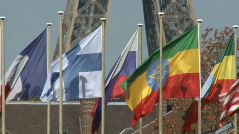 Flags of different countries waving in wind Stock-Footage 98392319