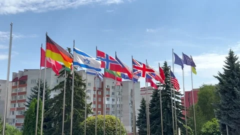 Flags of different countries of the world Stock Footage 245236840