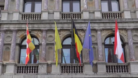 Flags of different European countries and the European Union hanging outside Video stock 332653868