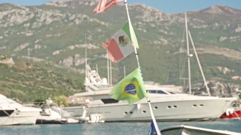 Flags of different states hang. Stock Footage 220069319