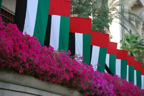 Flags of the emirates Stock Photos