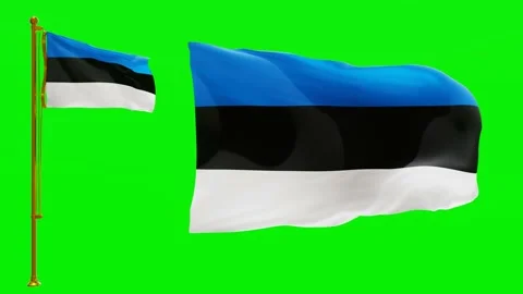 Flags of Estonia with Green Screen Chroma Key High Quality 4K UHD 60FPS Stock Footage 142901828