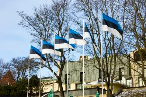 Flags of Estonia Foto stock