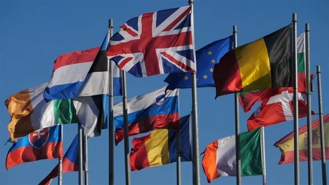 Flags of european countries waving in the wind Vidéo 105202282