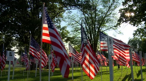 Flags Fallen Heroes 1 Stock Footage 41817169