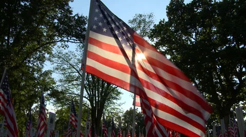 Flags Fallen Heroes 10 Stock Footage 41828162