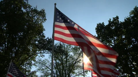 Flags Fallen Heroes 11 Stock Footage 41827728