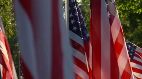 Flags Fallen Heroes 2 zo Stock Footage 41816911