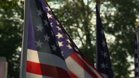 Flags Fallen Heroes 3 Stock Footage 41816515