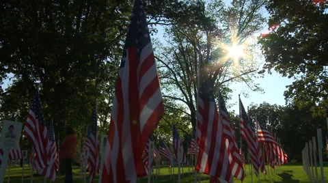 Flags Fallen Heroes 5 tilt Stock Footage 41824599