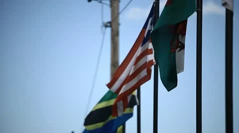 Flags Falpping in the Light Breeze Stock Footage 20544741