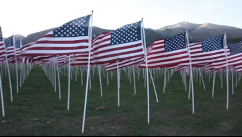 Flags in a field Stock Footage 8563356