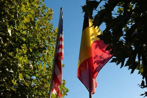 Flags flutter against a clear blue sky Stock Photos