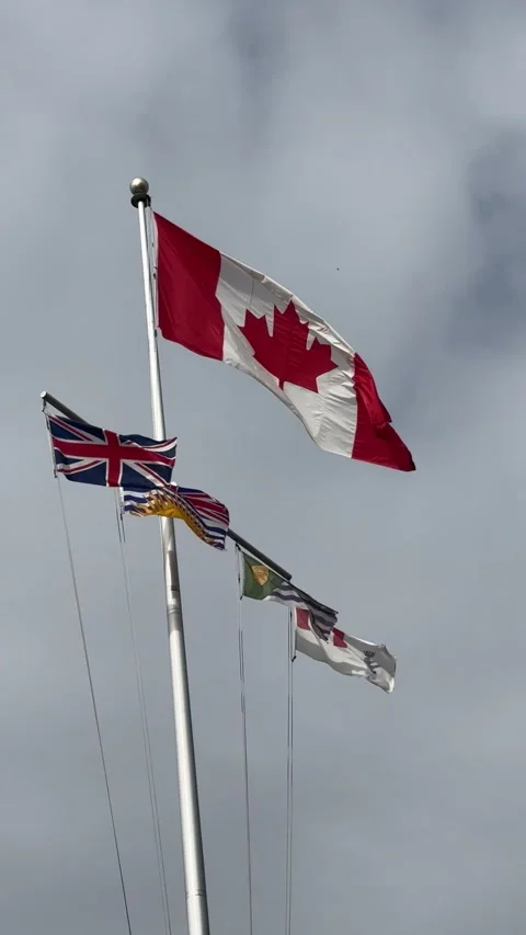 Flags flutter atop a flagpole, symbolizing national pride and regional identity Stock Footage 313954245