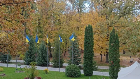 Flags flutter in an autumn park Video stock 318912611