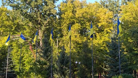 Flags flutter on the flagpole Vídeo Stock 315695732
