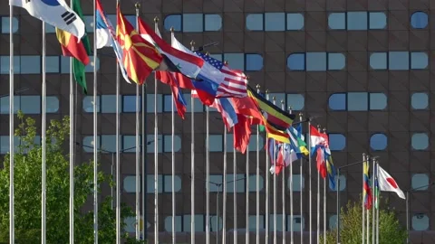 Flags flutter in the wind. Behind the building with windows Expo-Forum. Congress Stock Footage 158947989