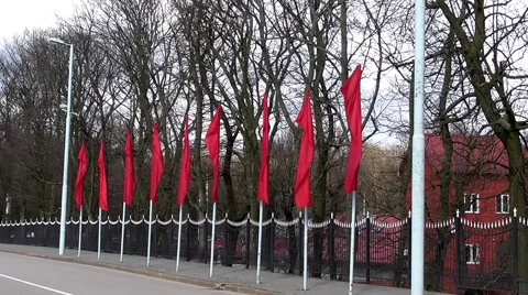 Flags fluttered in the wind Vídeo Stock 51233808