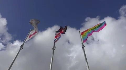 Flags fluttering in the wind Stock Footage 77575908