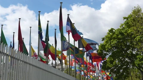 Flags fluttering in the wind in front of the UNESCO in Paris, France Stock Footage 273771621