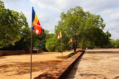 Flags fluttering in the wind Stock Photos