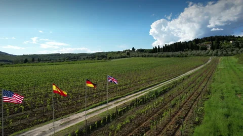 Flags fly near a splendid vineyard in the Chianti region of Tuscany Stock Footage 154474663