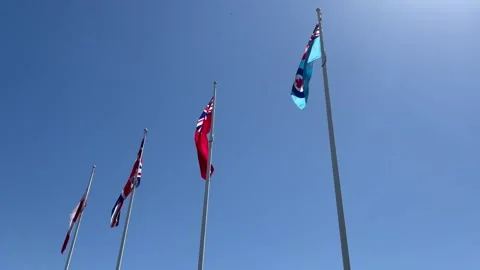 Flags fly in the sky Stock Footage 239040320