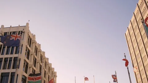 Flags fly in wind in downtown scene late afternoon tilting down 스톡 동영상 104140013