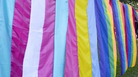 Flags flying at the 25th Free Parade of Porto Alegre RS at Parque da Redenção Stock Footage 197203684